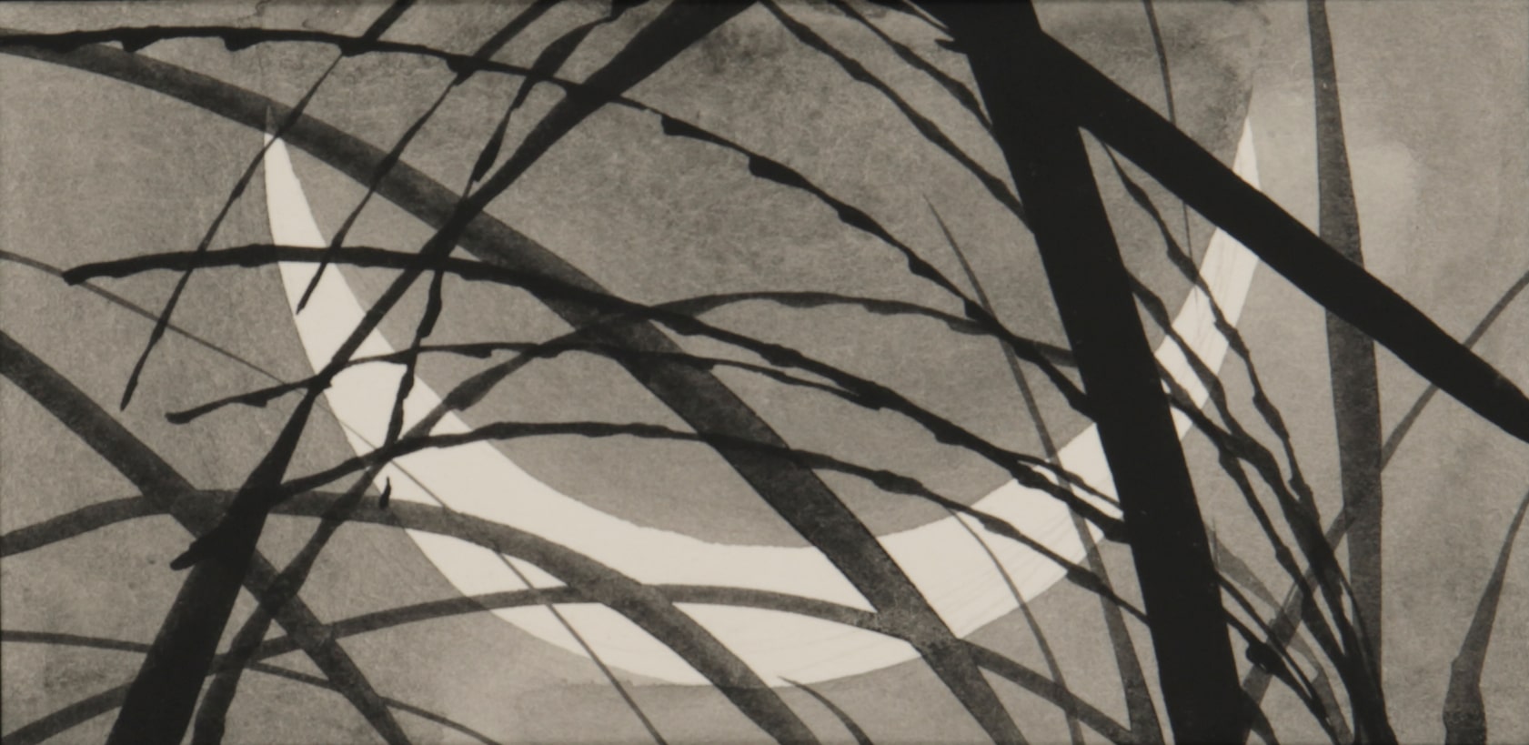 Grass in the Moonlit Night