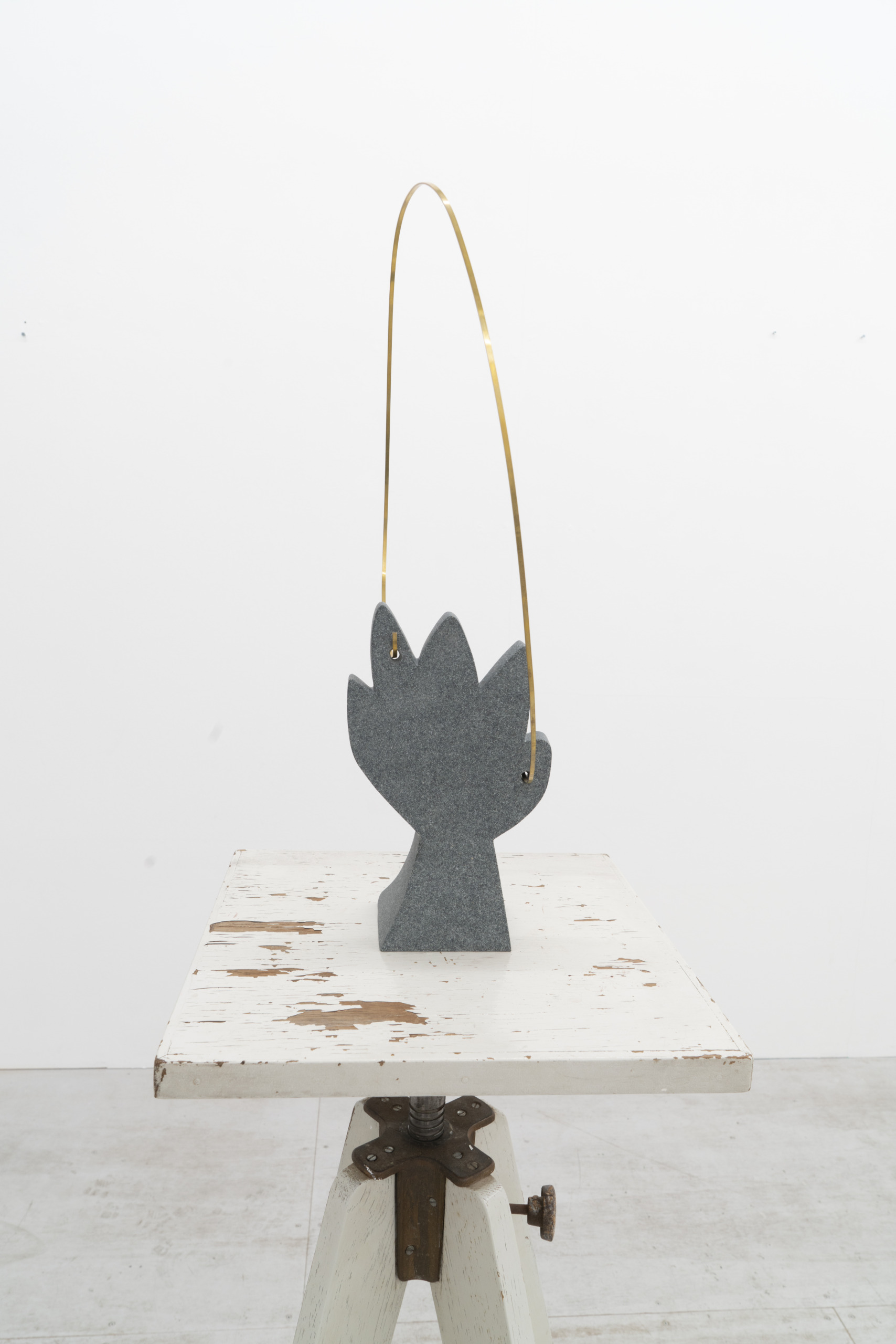 植物と花 [木の呼吸]